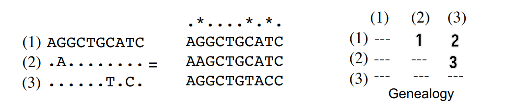 Nucleotide diversity example