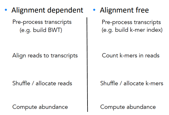 Alignment dependent v.s. alignment free